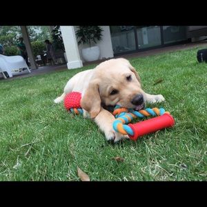 Meet your Posher, Kara